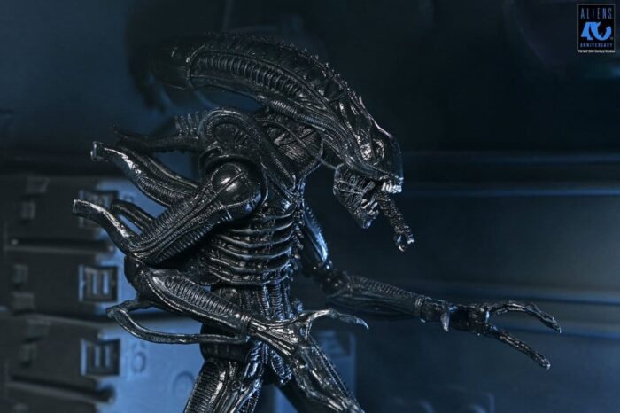 Xenomorph Warrior (schwarz) - Aliens - Ultimate - 40th Anniversary – Bild 12