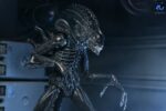 Xenomorph Warrior (schwarz) - Aliens - Ultimate - 40th Anniversary – Bild 13