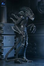 Xenomorph Warrior (schwarz) - Aliens - Ultimate - 40th Anniversary – Bild 14