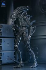 Xenomorph Warrior (schwarz) - Aliens - Ultimate - 40th Anniversary – Bild 15