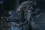 Xenomorph Warrior (schwarz) - Aliens - Ultimate - 40th Anniversary – Bild 16