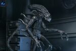 Xenomorph Warrior (schwarz) - Aliens - Ultimate - 40th Anniversary – Bild 17