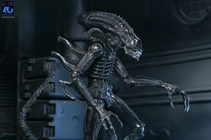 Xenomorph Warrior (schwarz) - Aliens - Ultimate - 40th Anniversary – Bild 17