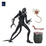 Xenomorph Warrior (schwarz) - Aliens - Ultimate - 40th Anniversary – Bild 19
