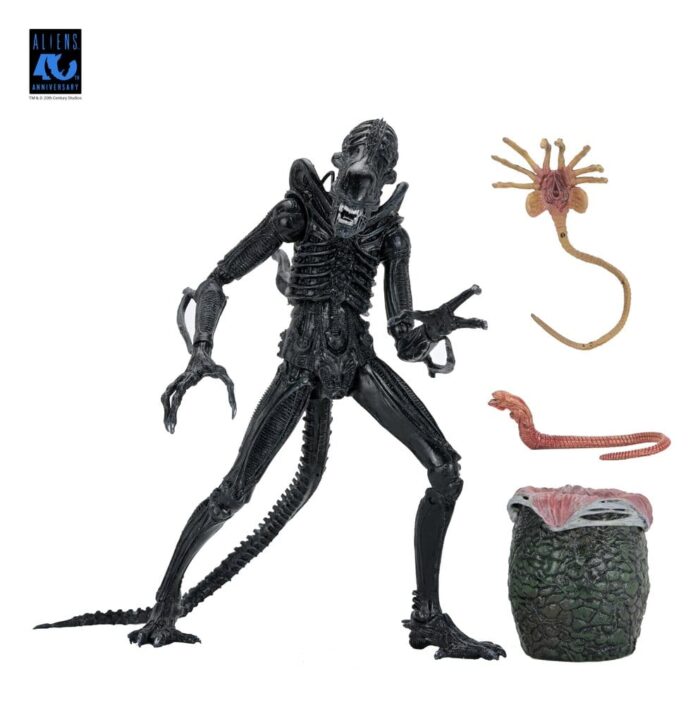 Xenomorph Warrior (schwarz) - Aliens - Ultimate - 40th Anniversary – Bild 19