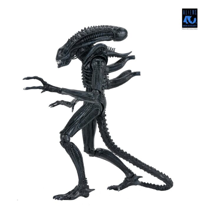 Xenomorph Warrior (schwarz) - Aliens - Ultimate - 40th Anniversary – Bild 20