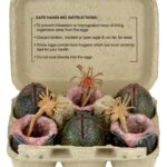 Carton of Alien Eggs - Aliens - Zubehör-Set - 6er-Pack -  40th Anniversary)