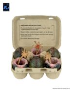 Carton of Alien Eggs - Aliens - Zubehör-Set - 6er-Pack -  40th Anniversary) – Bild 7