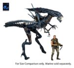 Alien Queen - Aliens - Ultra Deluxe - 40th Anniversary – Bild 5