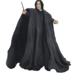 Severus Snape - Harry Potter Legacy - Collection