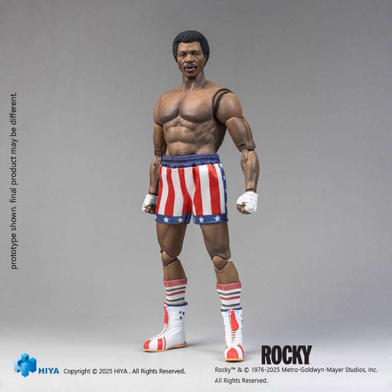 x_hiyaesr0171.jpg Apollo - Rocky - Exquisite Super Series – Bild 1