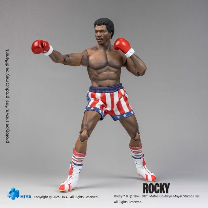 Apollo - Rocky - Exquisite Super Series – Bild 3