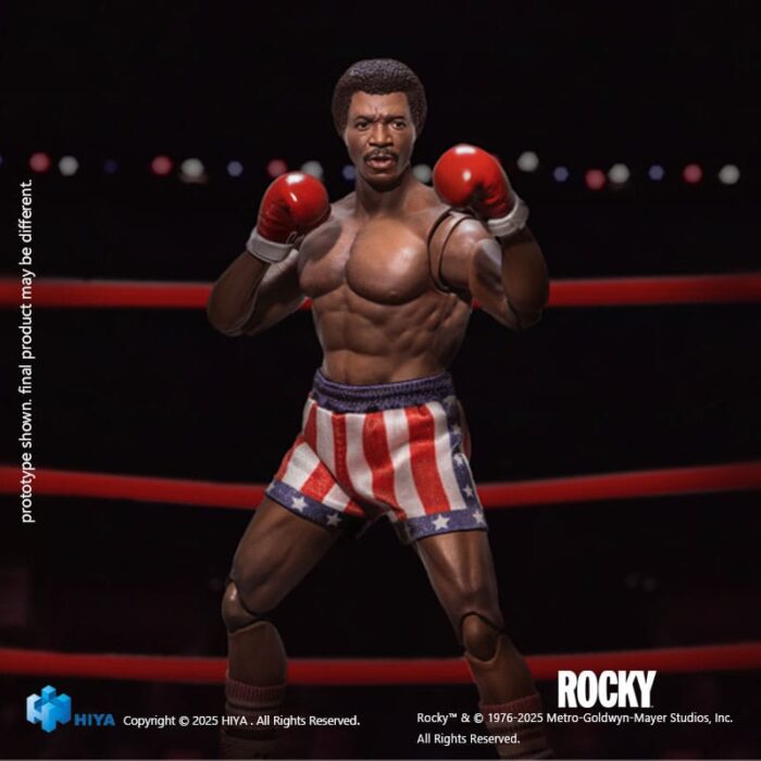 Apollo - Rocky - Exquisite Super Series – Bild 5