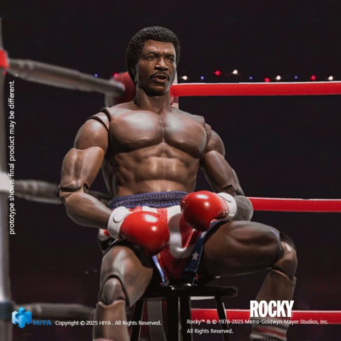 Apollo - Rocky - Exquisite Super Series – Bild 6