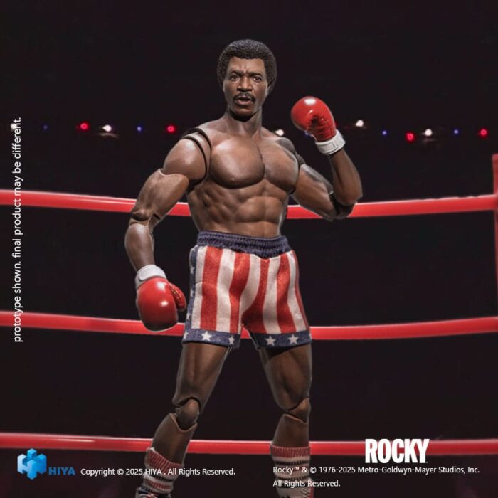 Apollo - Rocky - Exquisite Super Series – Bild 7
